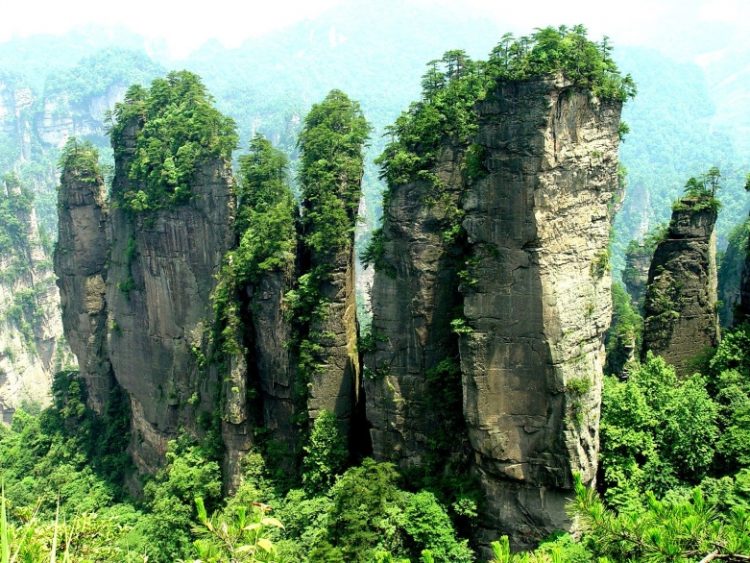 Потрясающие пейзажи Национального парка Чжанцзяцзе в Китае