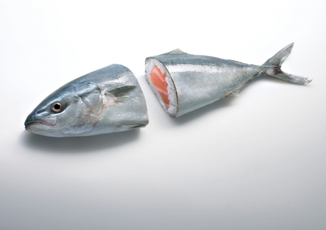 Рыба рыбе рознь: сорта рыбы, которые нельзя употреблять