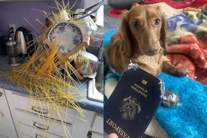 неудачный день