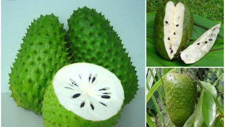 Самые необычные экзотические фрукты на планете, 25 фото