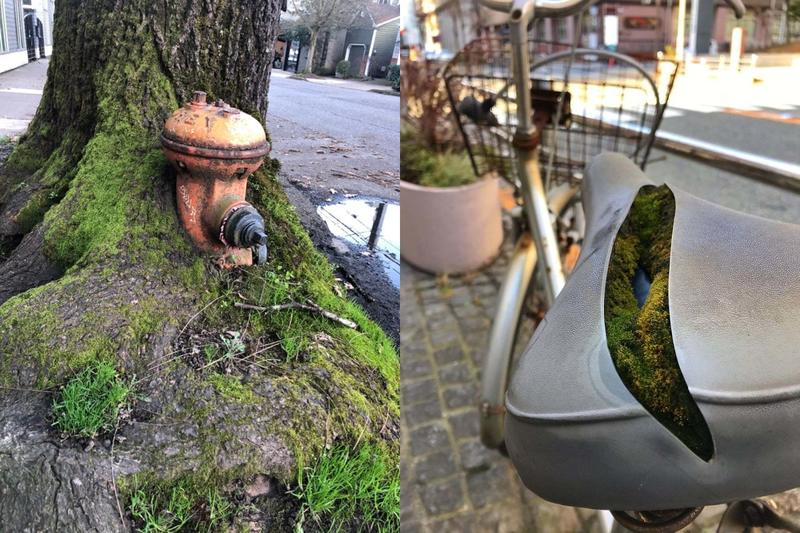 Беспощадная сила живой природы: 30 захватывающих снимков