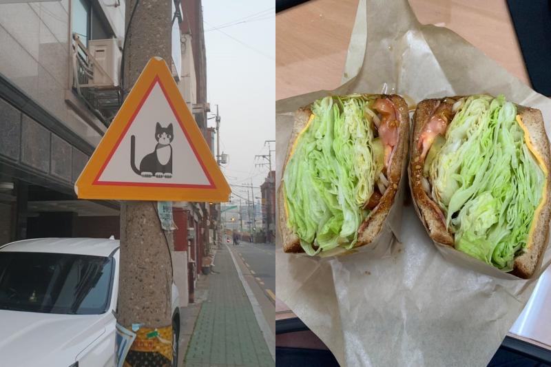 Интересные особенности жизни в Южной Корее