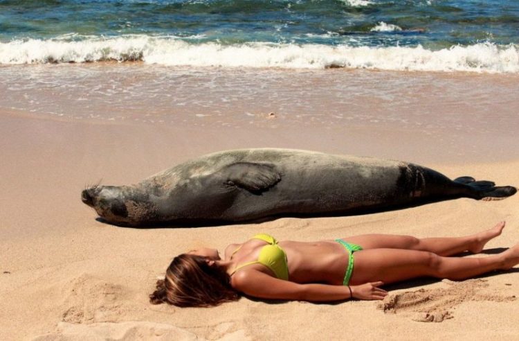 25 Fun-Filled Beach Photos