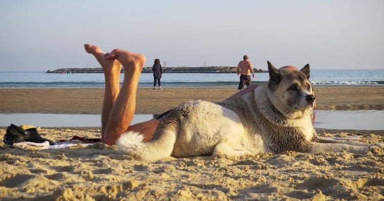 25 Fun-Filled Beach Photos