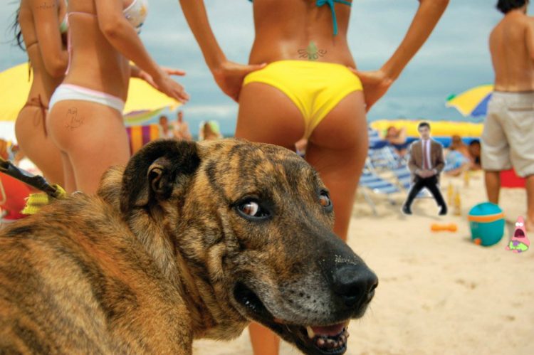 25 Fun-Filled Beach Photos