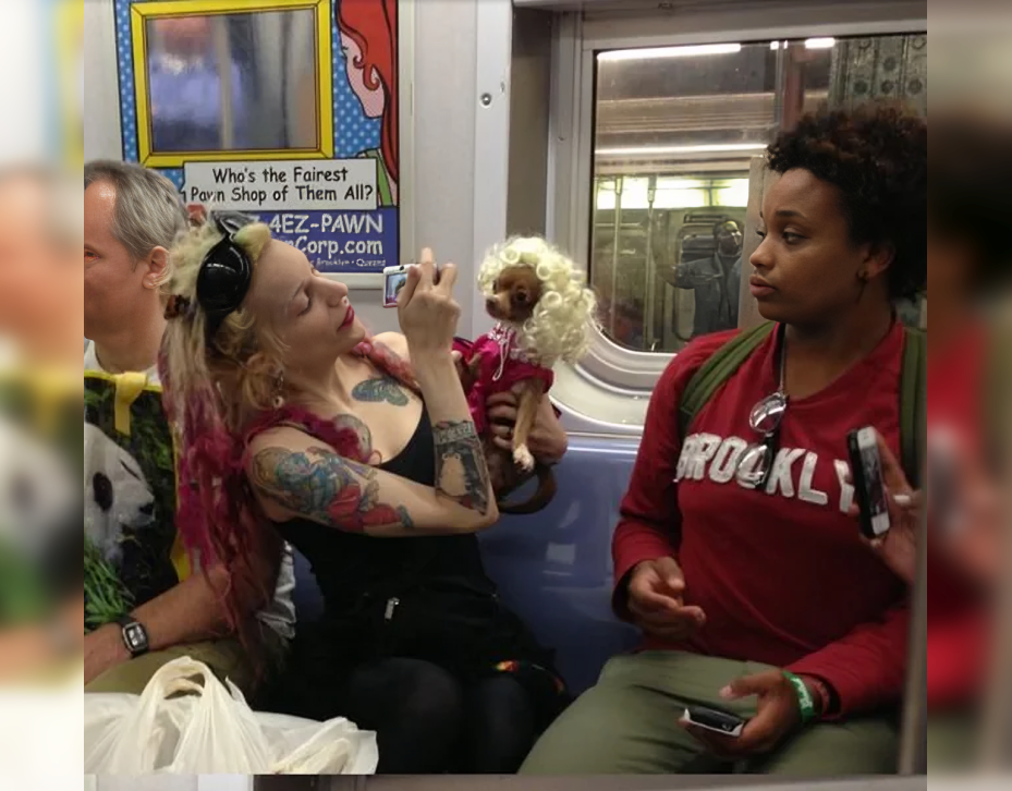 Subway Chronicles: Captivating Photos of Quirky Characters